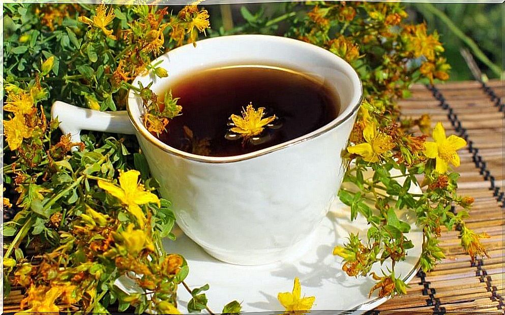 St. John's wort tea