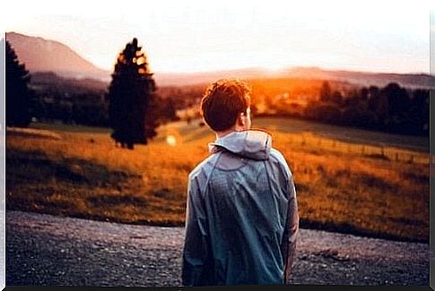 A boy in a field facing the sunset.