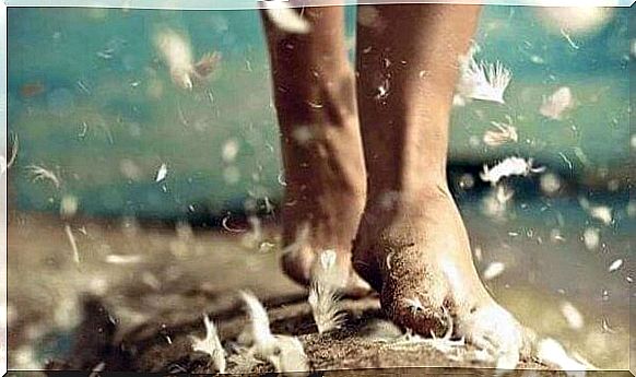 Barefoot and feathers