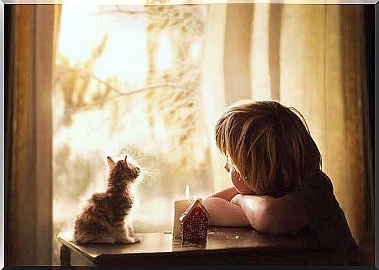 Children and cat