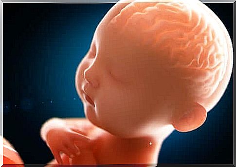 An Infant's Mind - What Happens Inside?