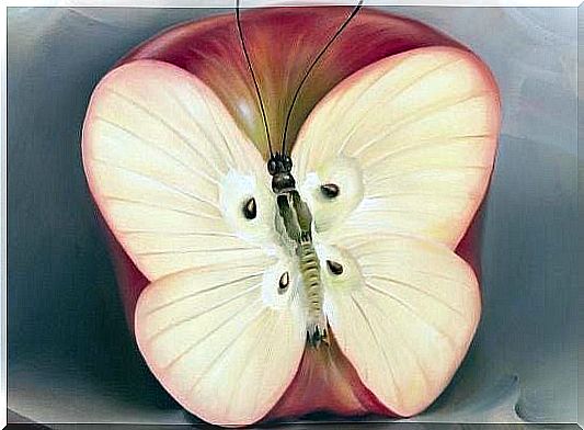 An apple in the shape of a butterfly