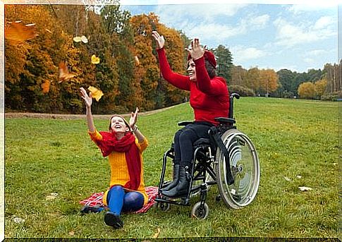 A lady in a wheelchair playing with a friend: Functional Inequality