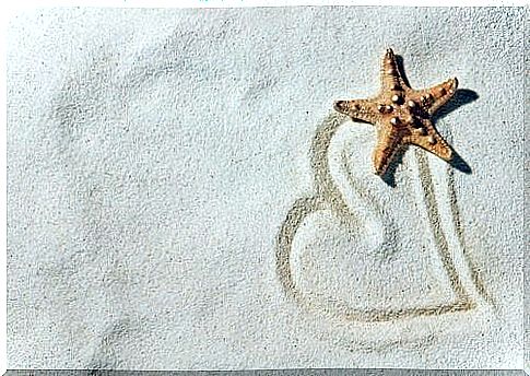 Sand and starfish.