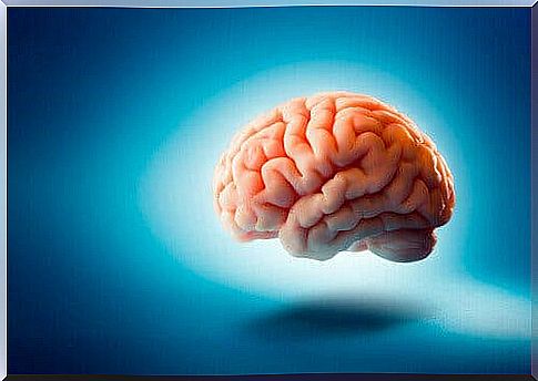 Six strange brain facts you hardly know