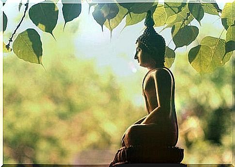 A statue of Buddha under a tree.