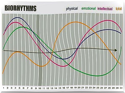 Theory of biorhythms, graphic overview.