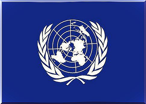 The UN flag.