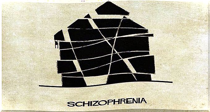 Schizophrenia as a house