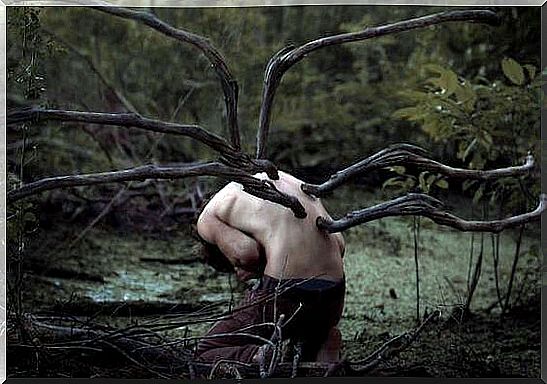 branches growing out of boys back